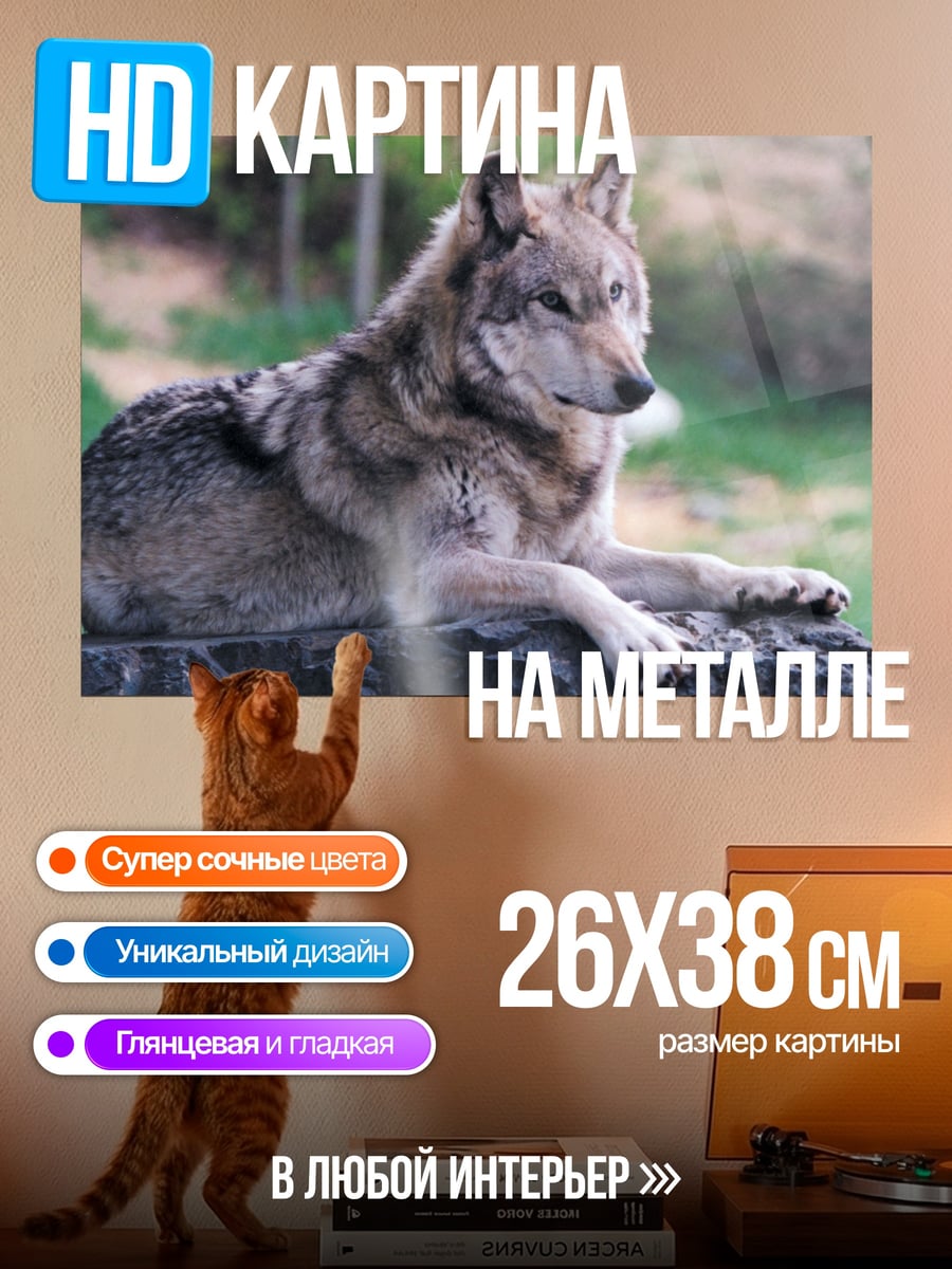 Картина на металле Лежащий волк