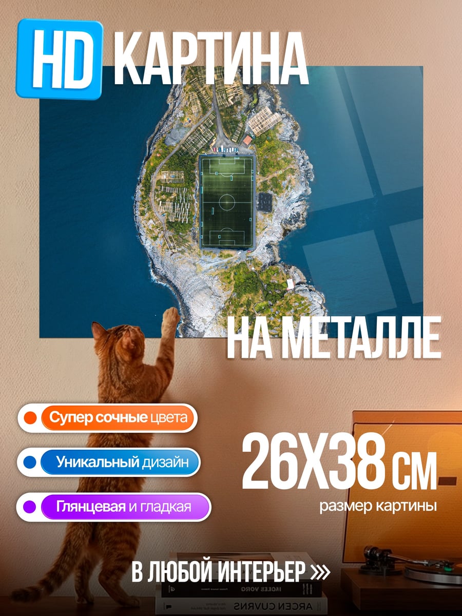 Картина на металле Остров стадион