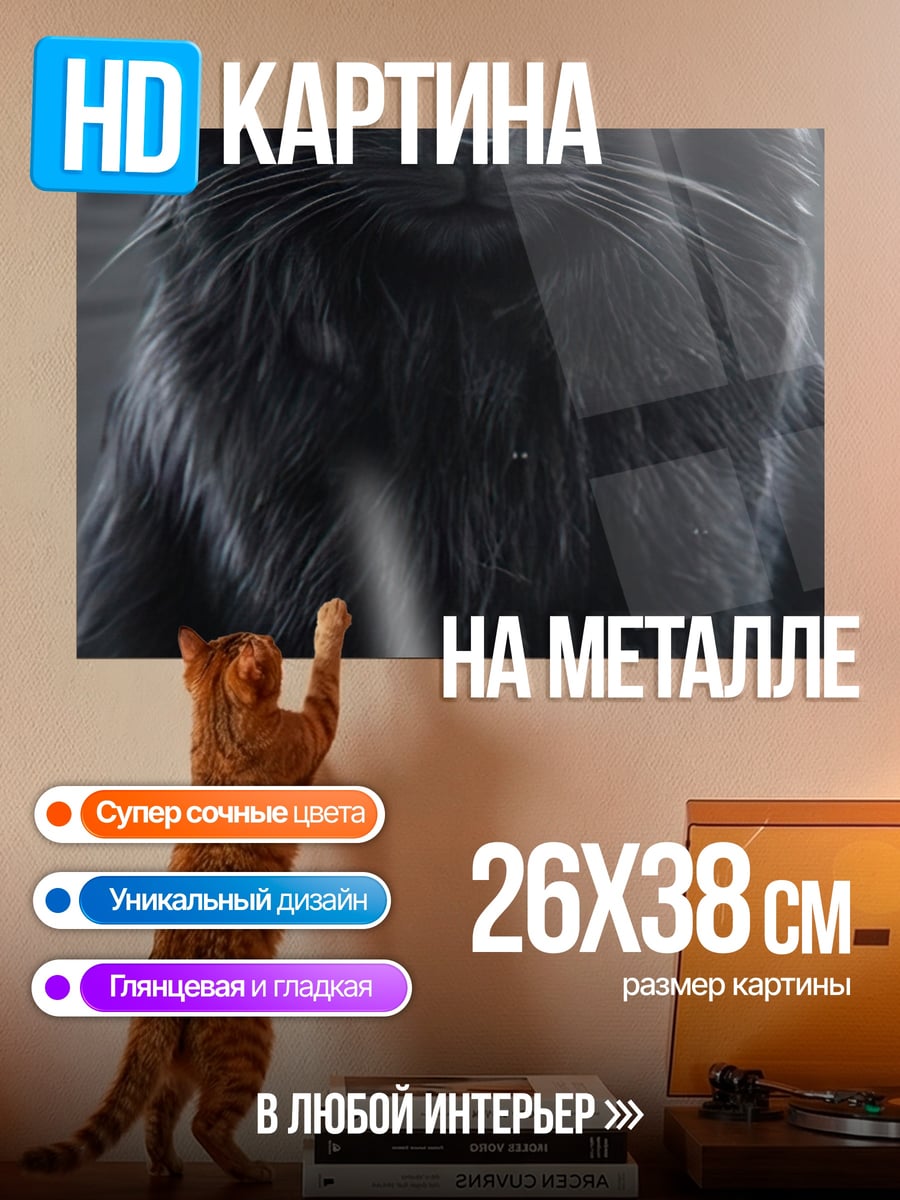 Картина на металле Черный кот огненные глаза