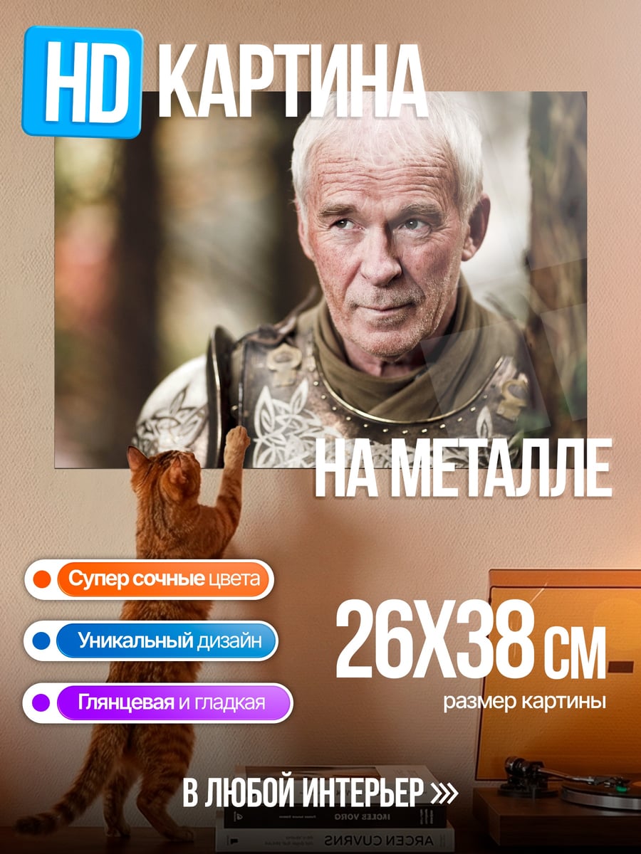 Картина на металле Старый воин