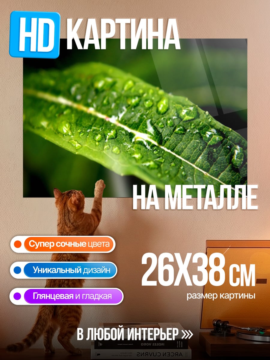 Картина на металле капли росы лист