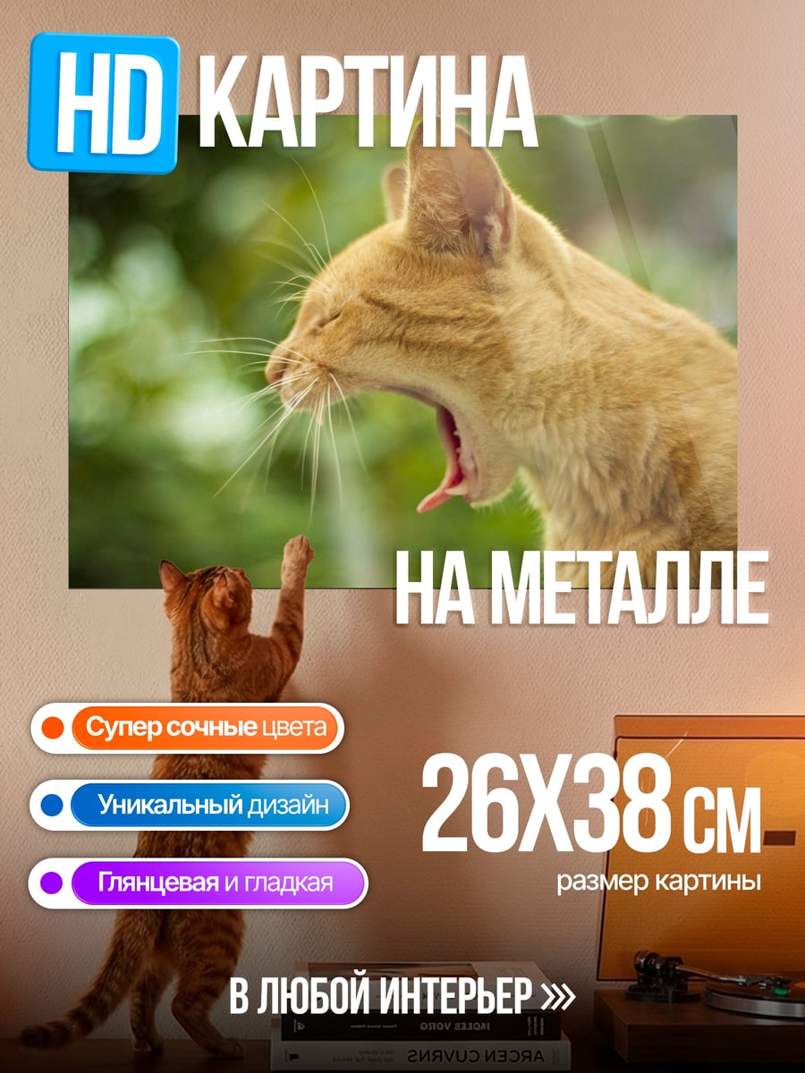 Картина на металле зевающий рыжий кот