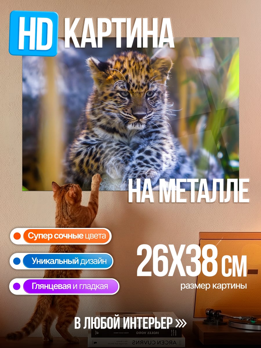 Картина на металле Леопардовый детеныш