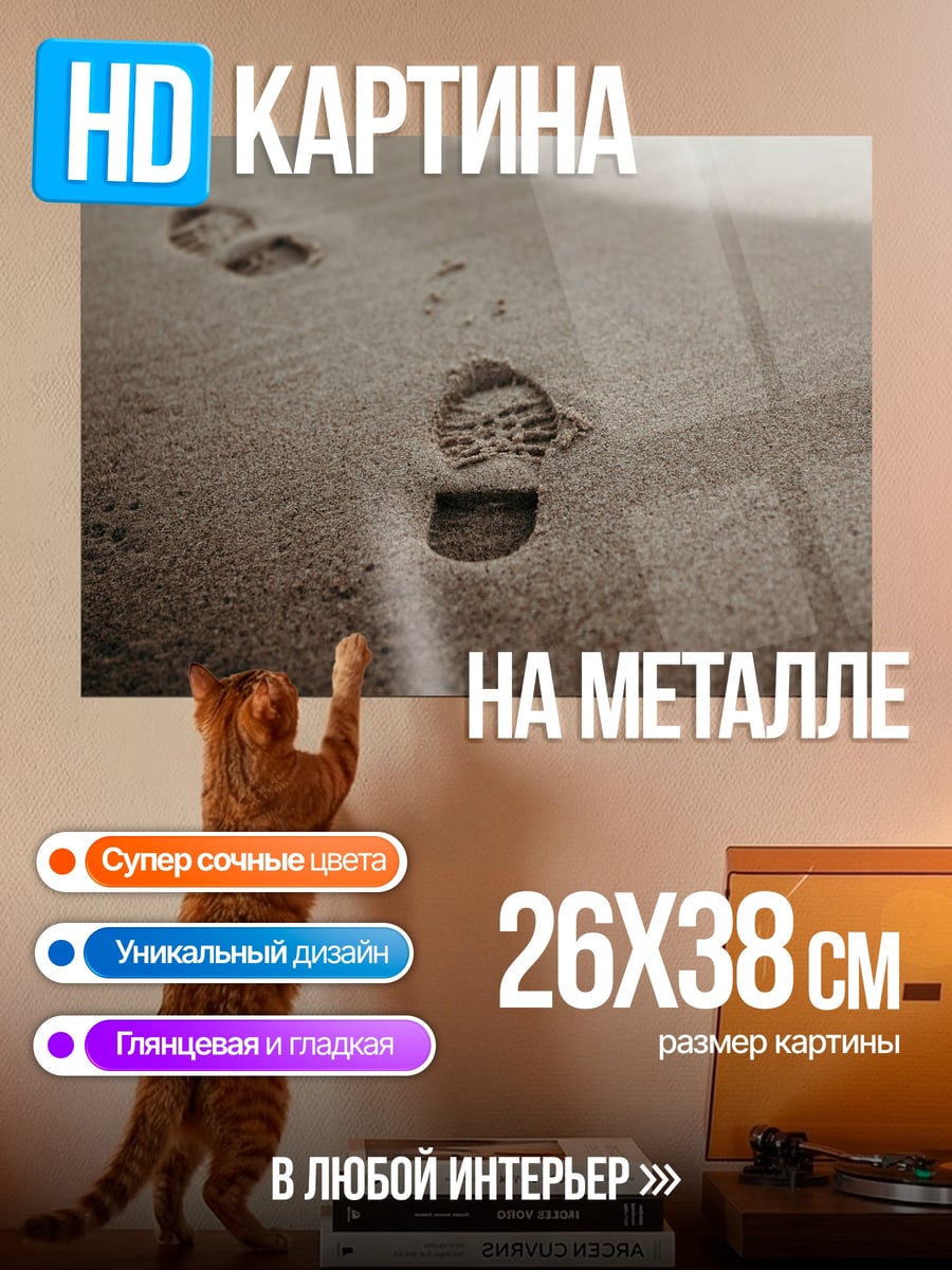 Картина на металле Следы на песке