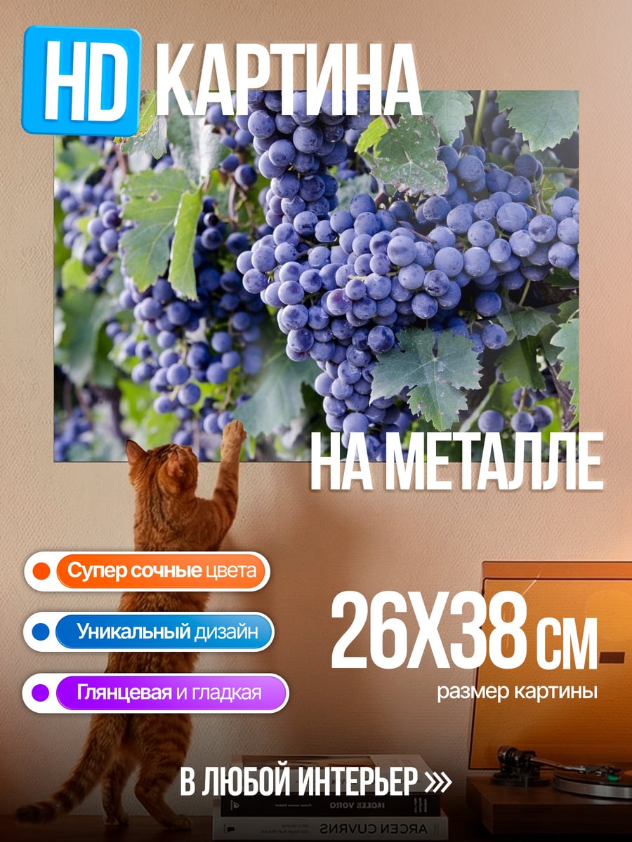 Картина на металле гроздья спелого винограда