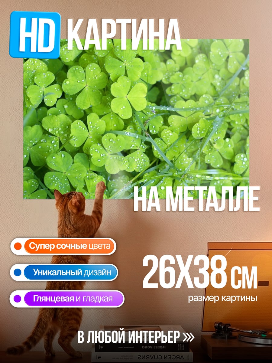 Картина на металле зеленый клевер поле
