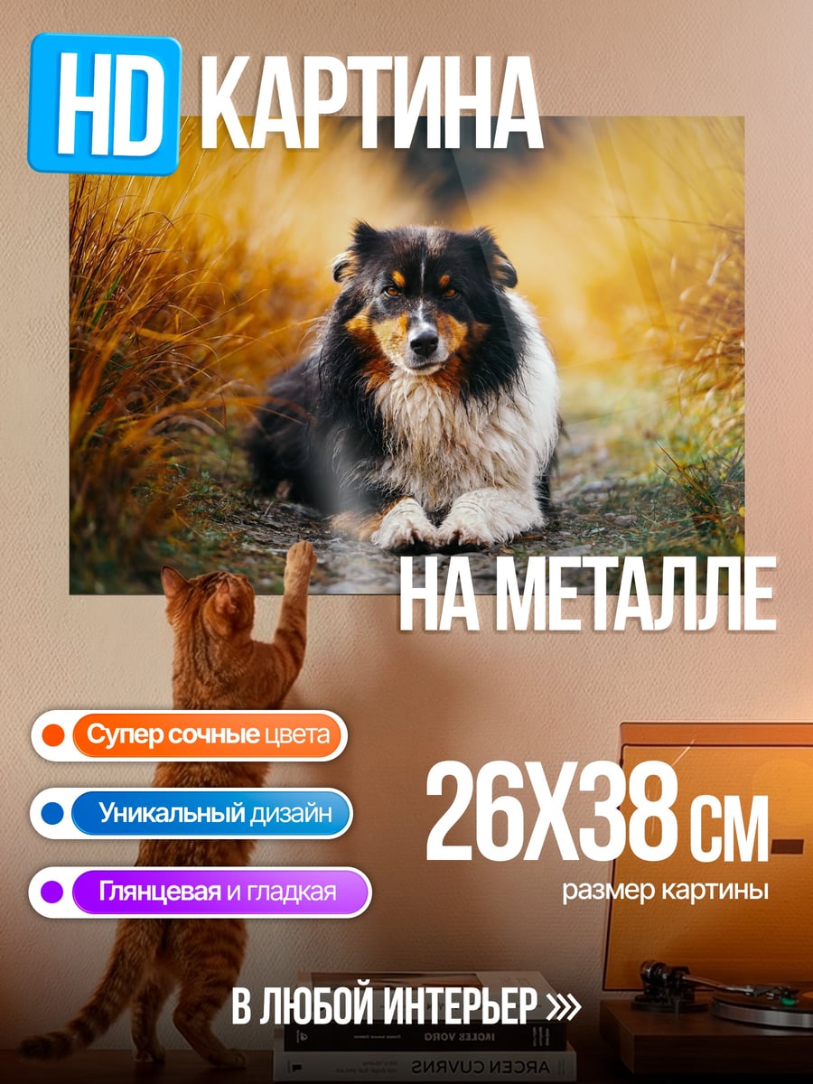 Картина на металле собака в траве
