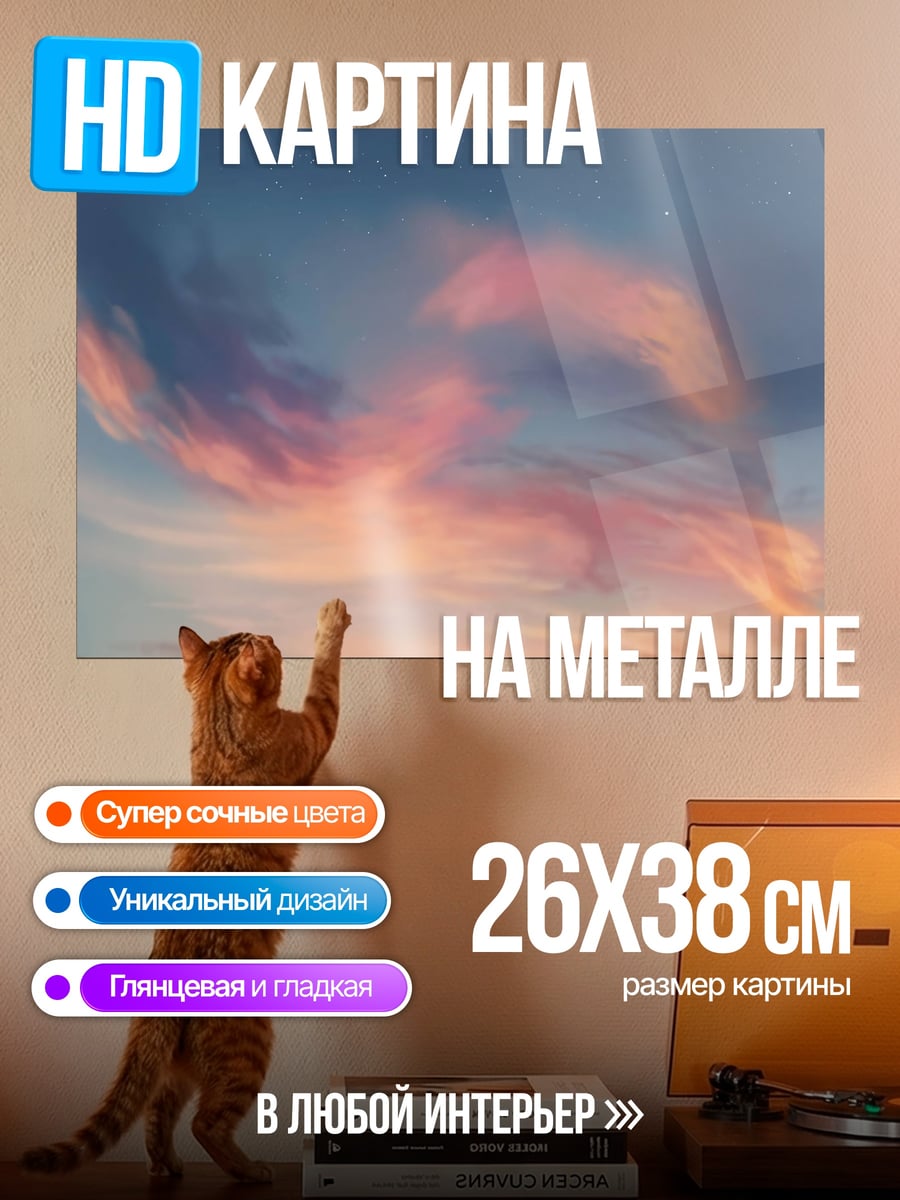 Картина на металле девушка на закате