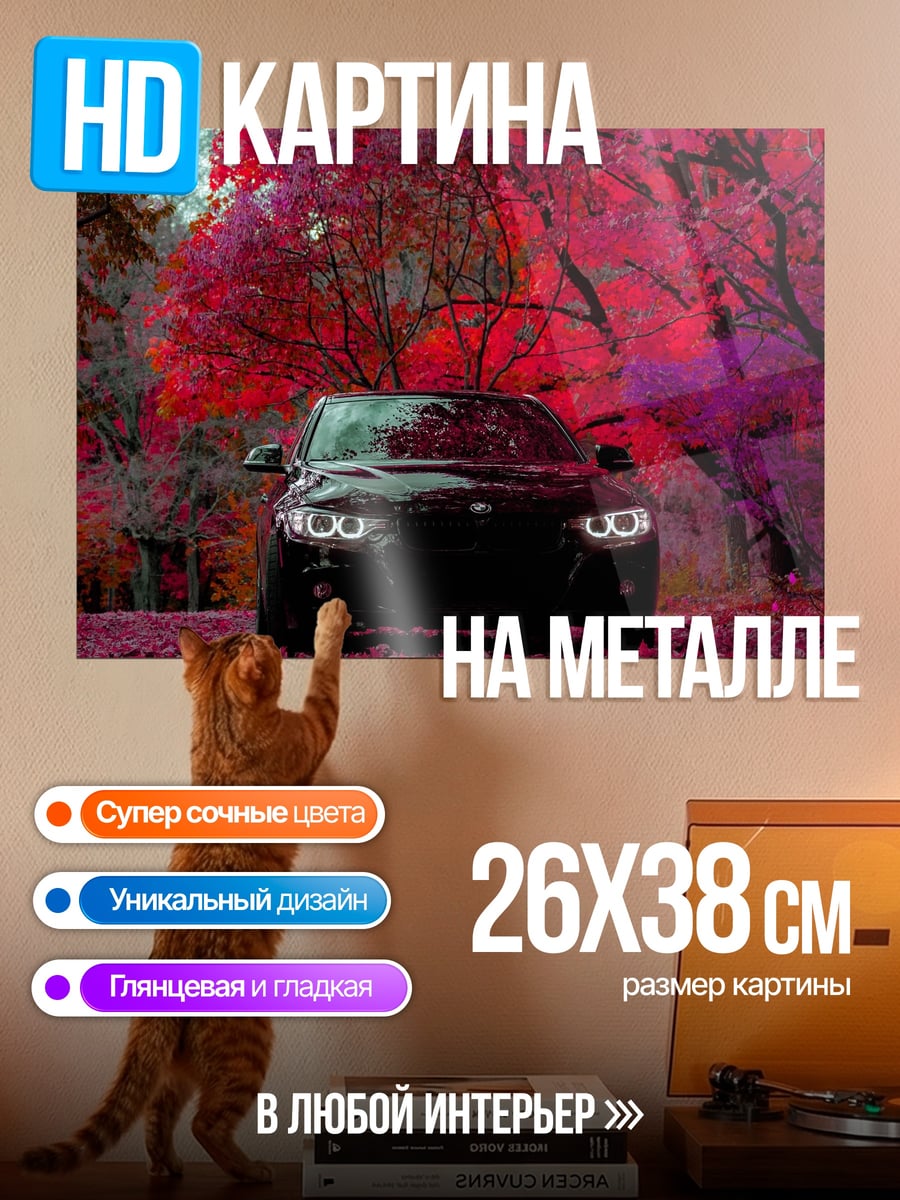 Картина на металле Черный автомобиль в лесу