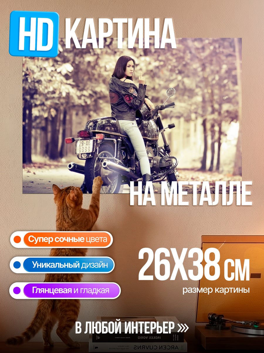 Картина на металле Девушка на мотоцикле