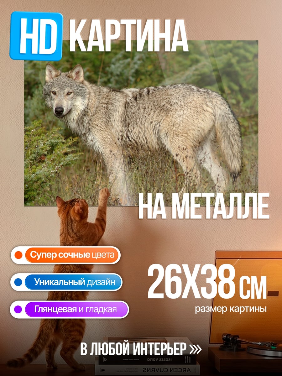 Картина на металле серый волк