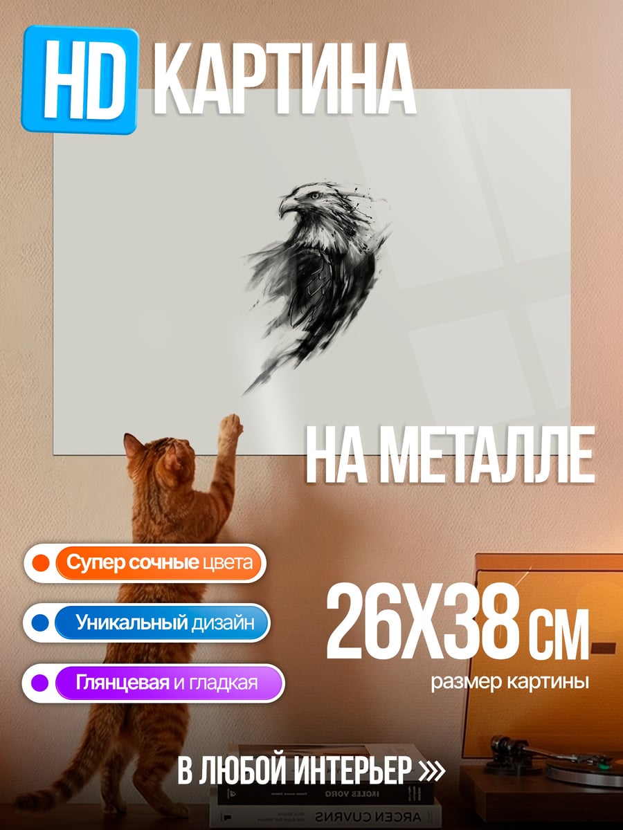 Картина на металле Черно-белый орел