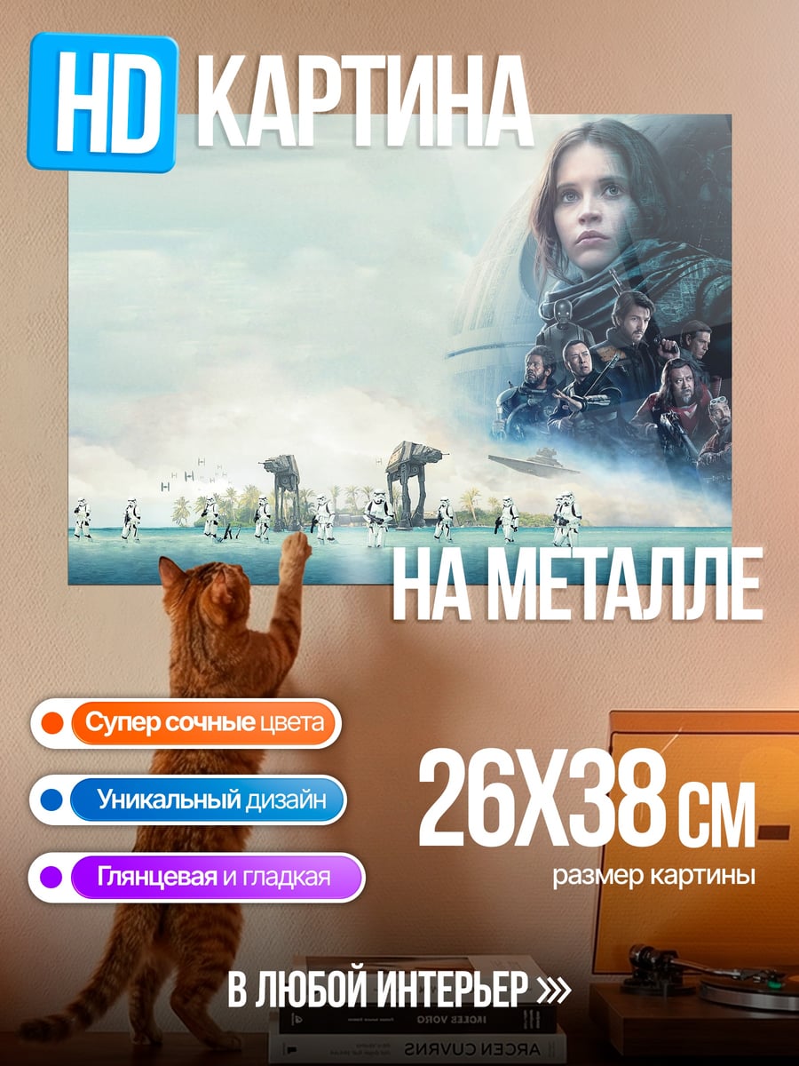 Картина на металле Изгой один