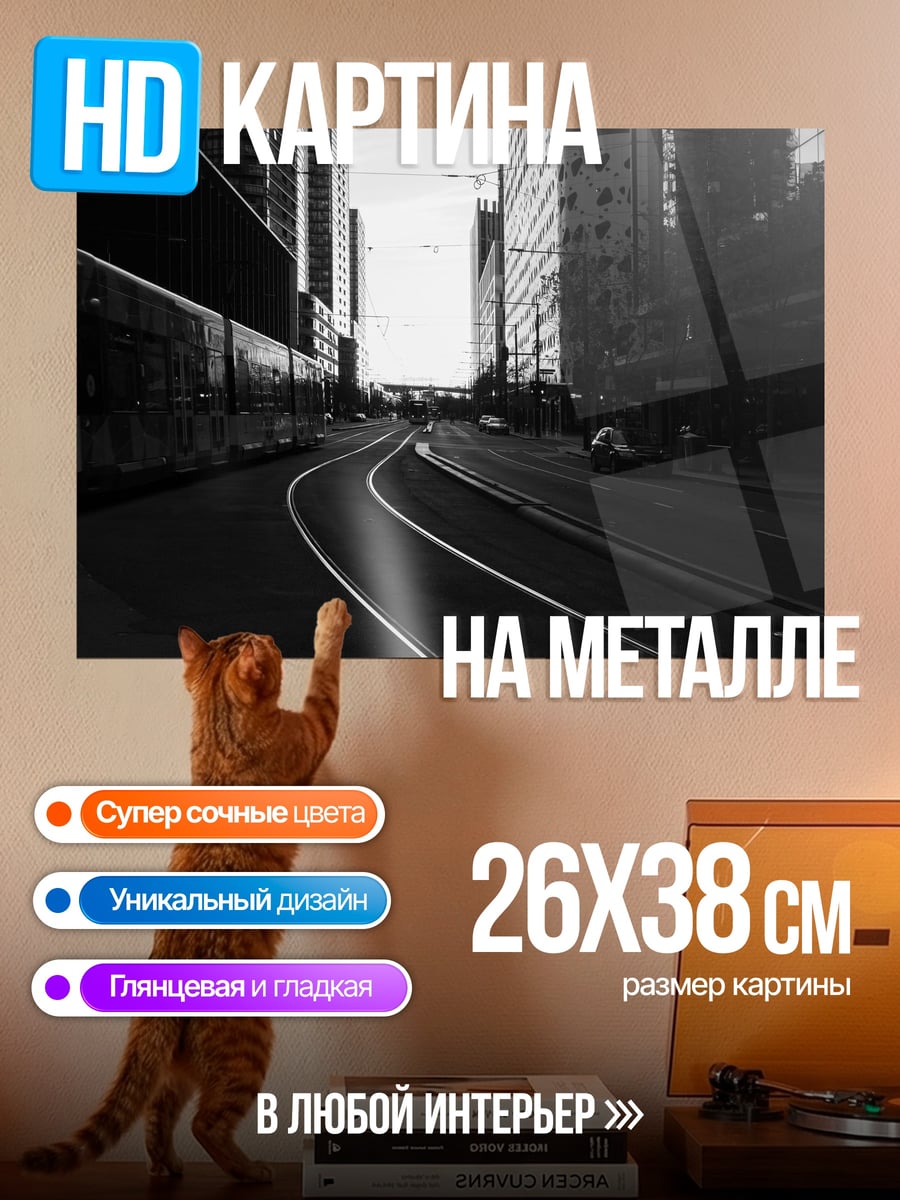 Картина на металле Городские рельсы