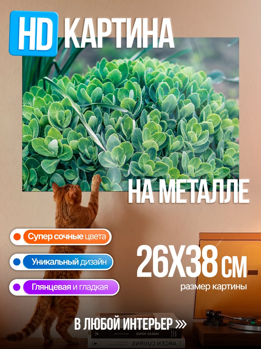 Картина на металле Зеленый куст