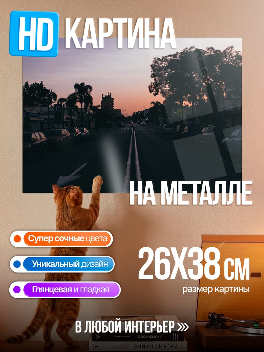 Картина на металле Дорога на закате