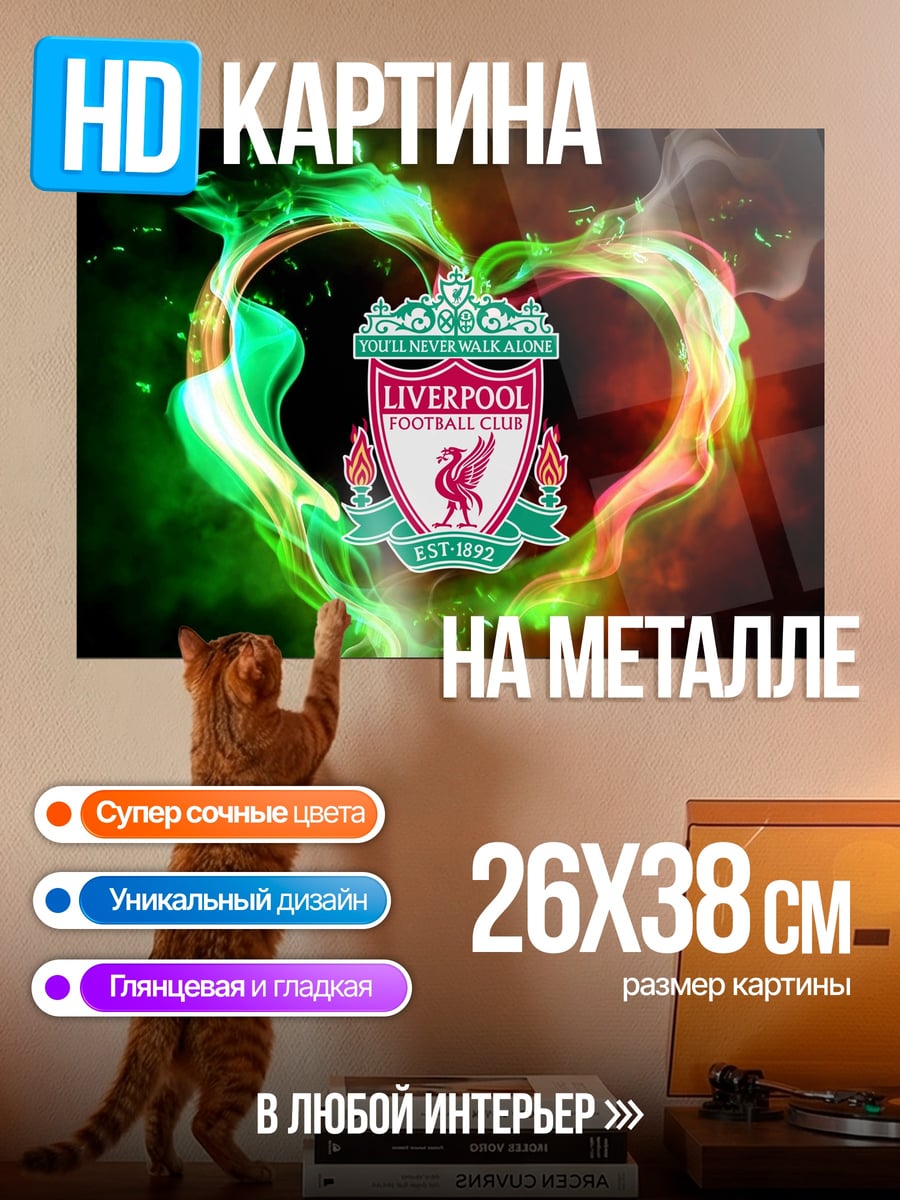 Картина на металле Сердце Ливерпуля