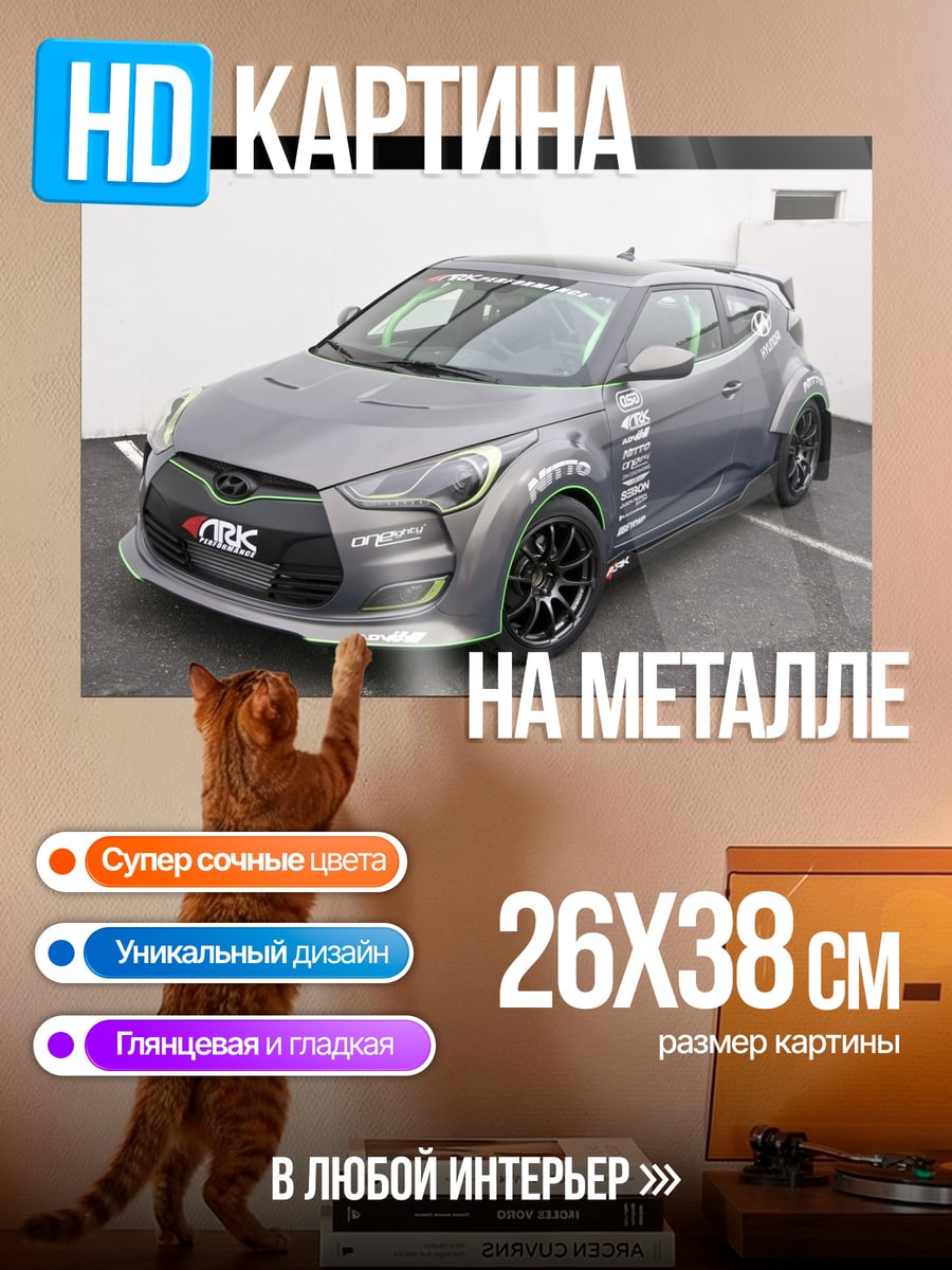 Картина на металле Спортивный Hyundai