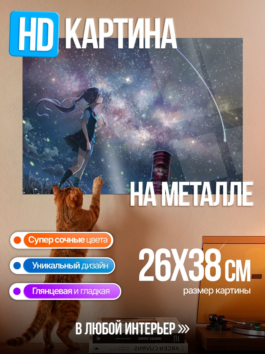 Картина на металле Девушка смотрит на звезды