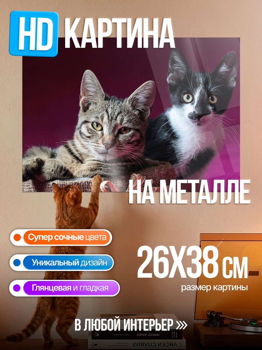 Картина на металле Два котенка