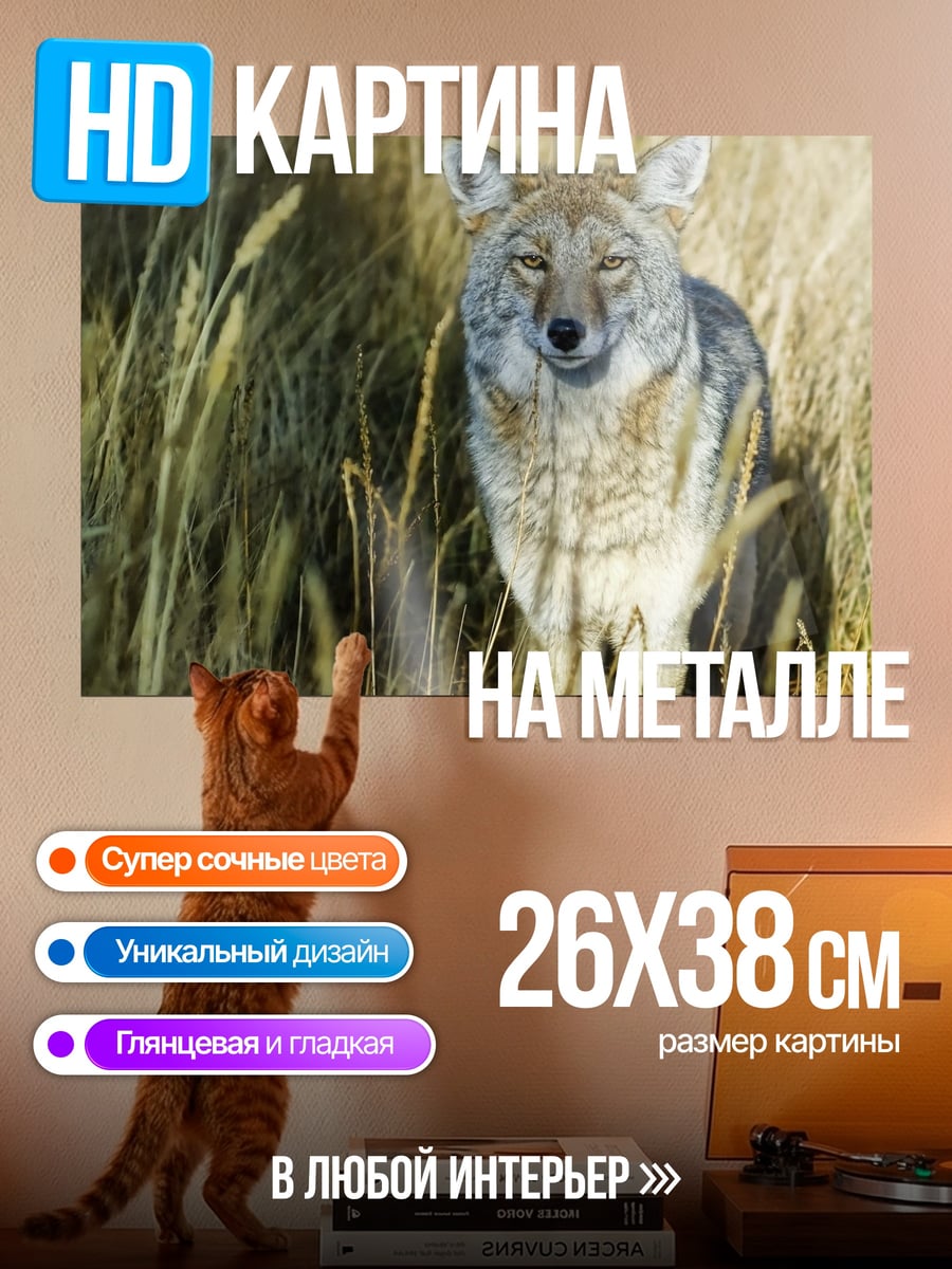 Картина на металле Красный койот