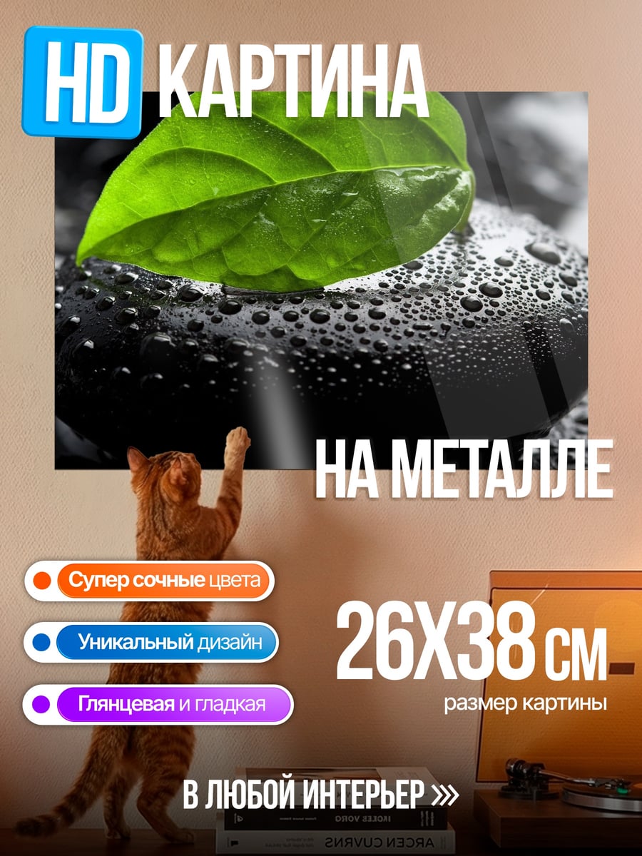 Картина на металле Зеленый лист на камне