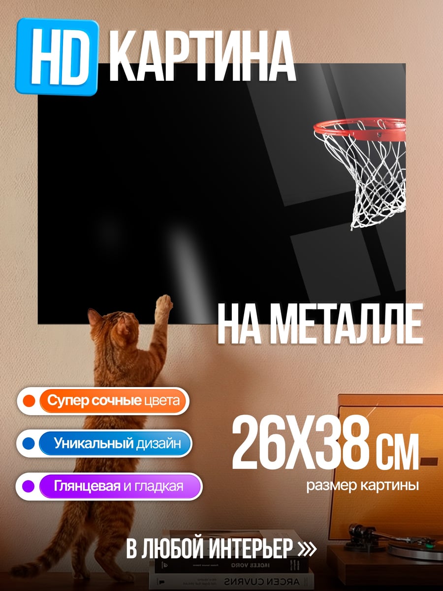 Картина на металле Баскетбольное кольцо