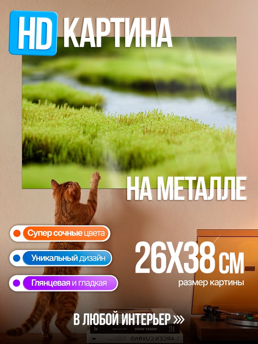 Картина на металле Зеленый мох