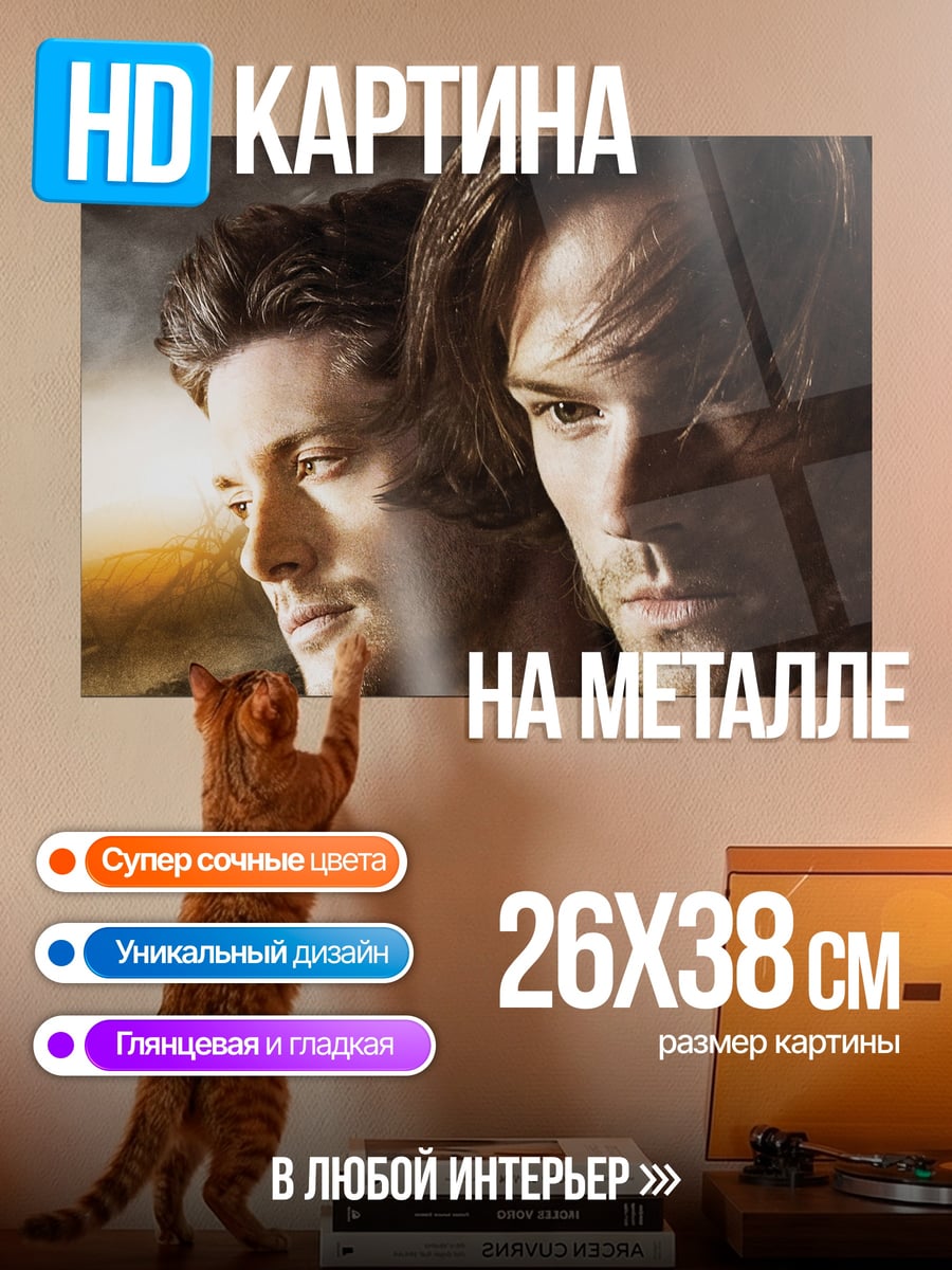 Картина на металле Два брата воины