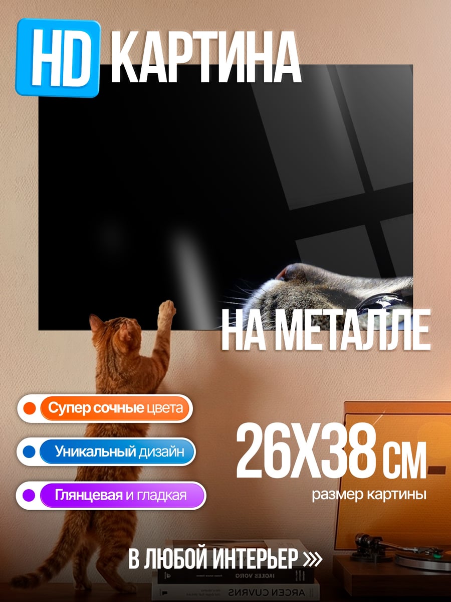 Картина на металле Кот Смотрит Вверх
