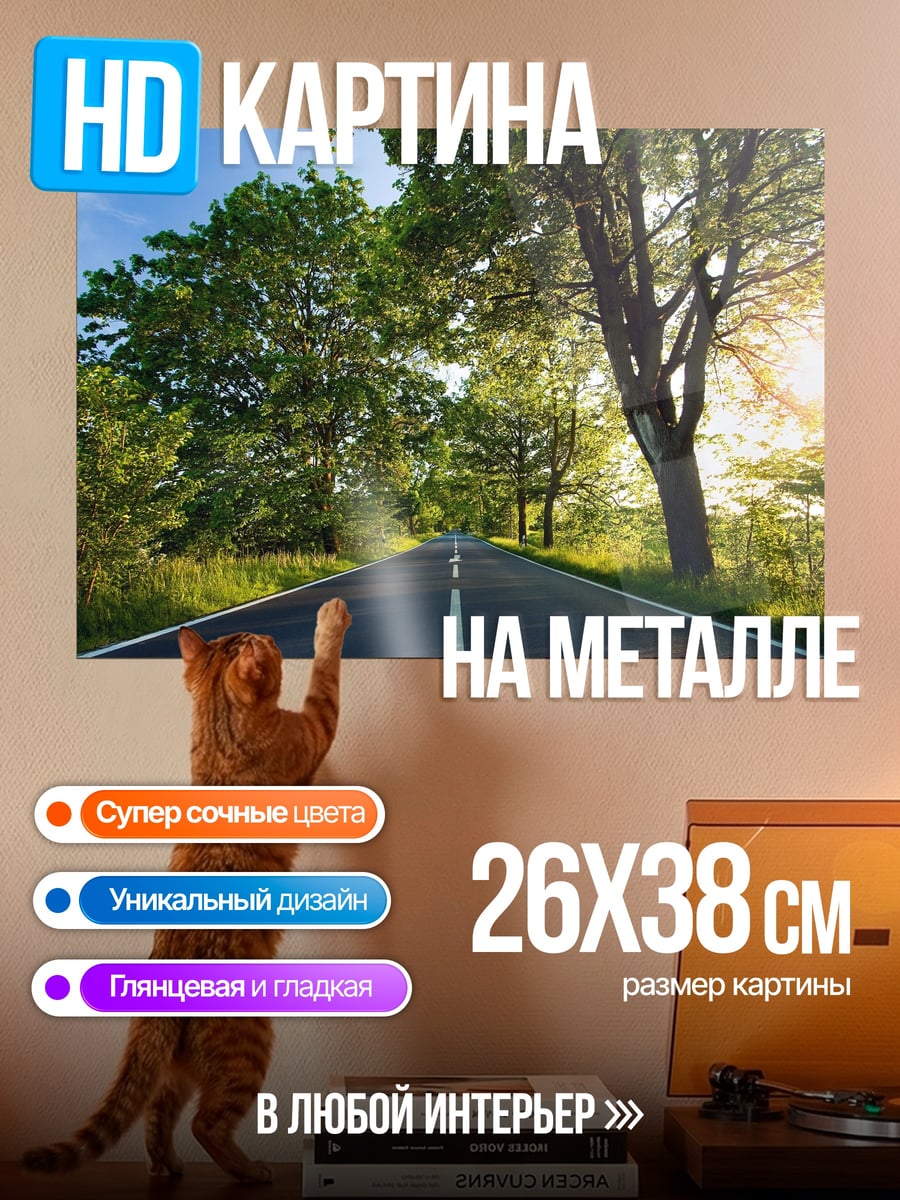 Картина на металле Дорога Летом