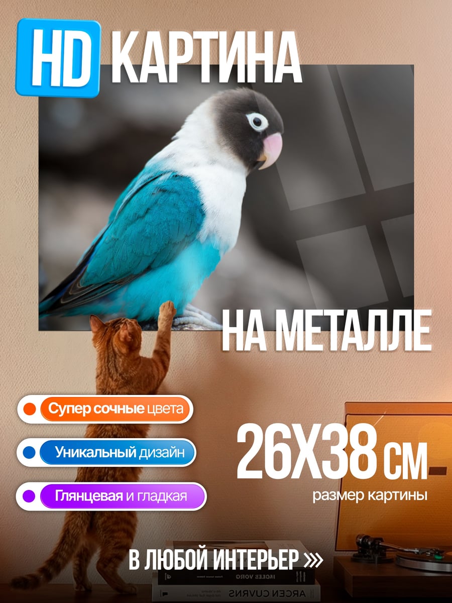 Картина на металле Неразлучная Птица