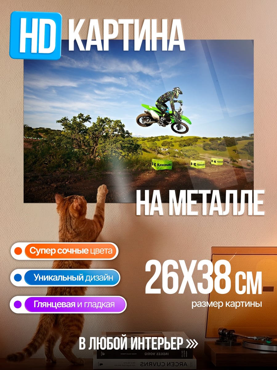Картина на металле Мотоциклист в воздухе