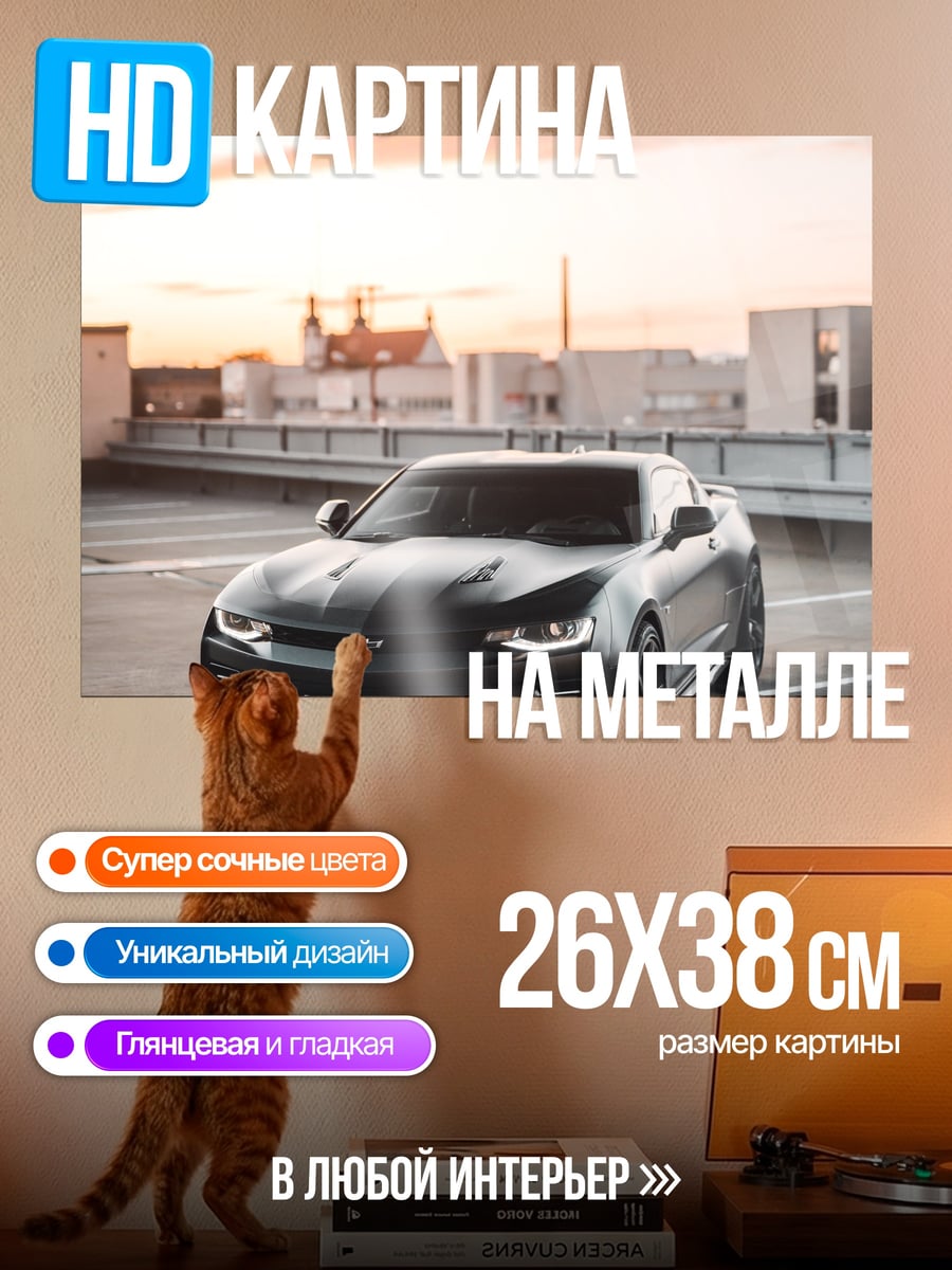 Картина на металле Черный маслкар