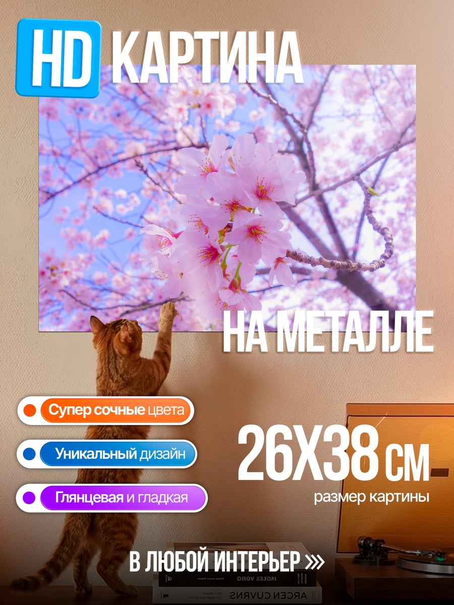 Картина на металле Цветущая сакура весной