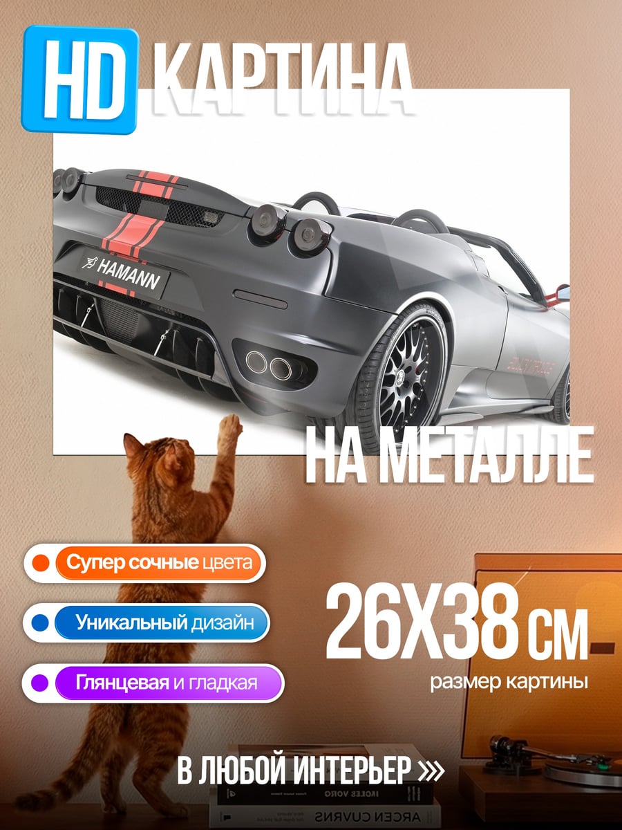 Картина на металле Спортивный автомобиль Hamann