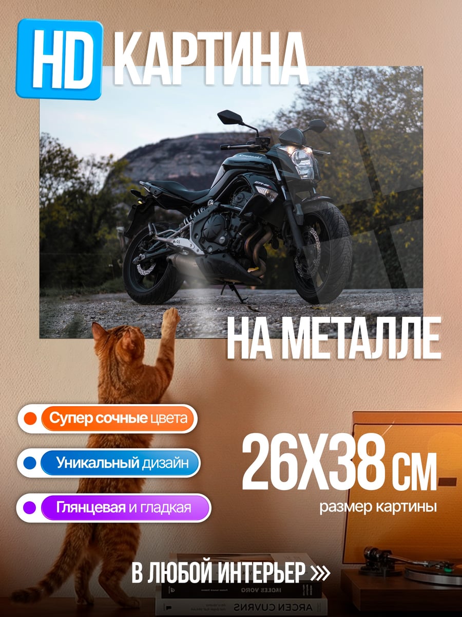 Картина на металле Черный мотоцикл