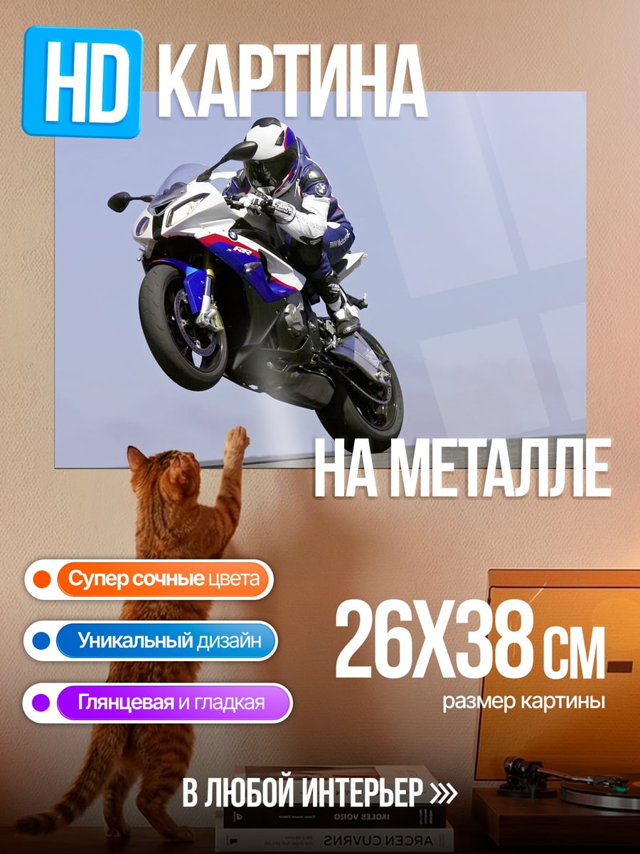 Картина на металле Мотоциклист на заднем колесе
