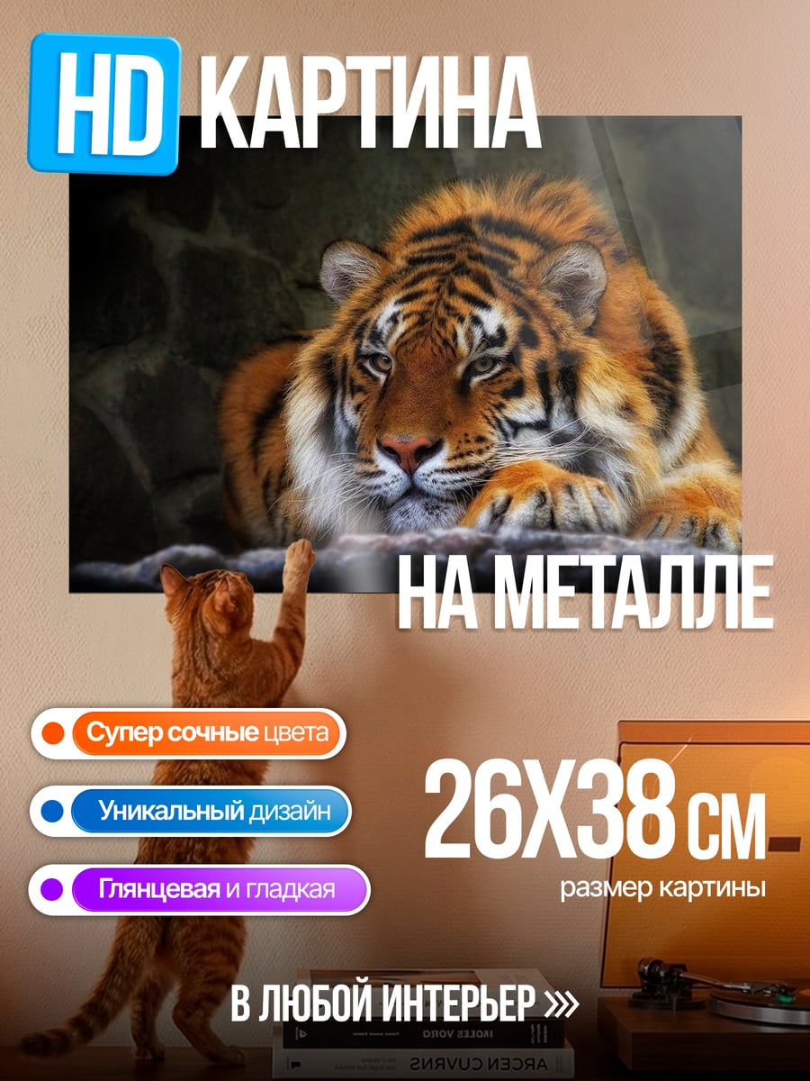 Картина на металле Лежащий тигр