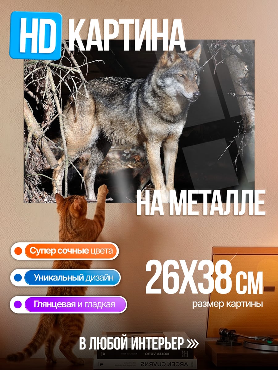 Картина на металле Лесной волк