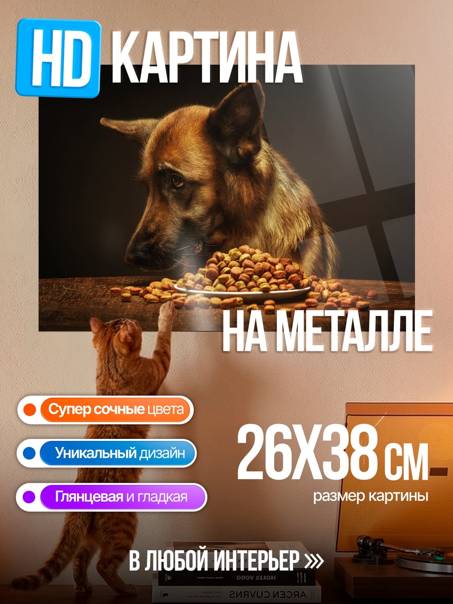 Картина на металле Немецкая овчарка ест