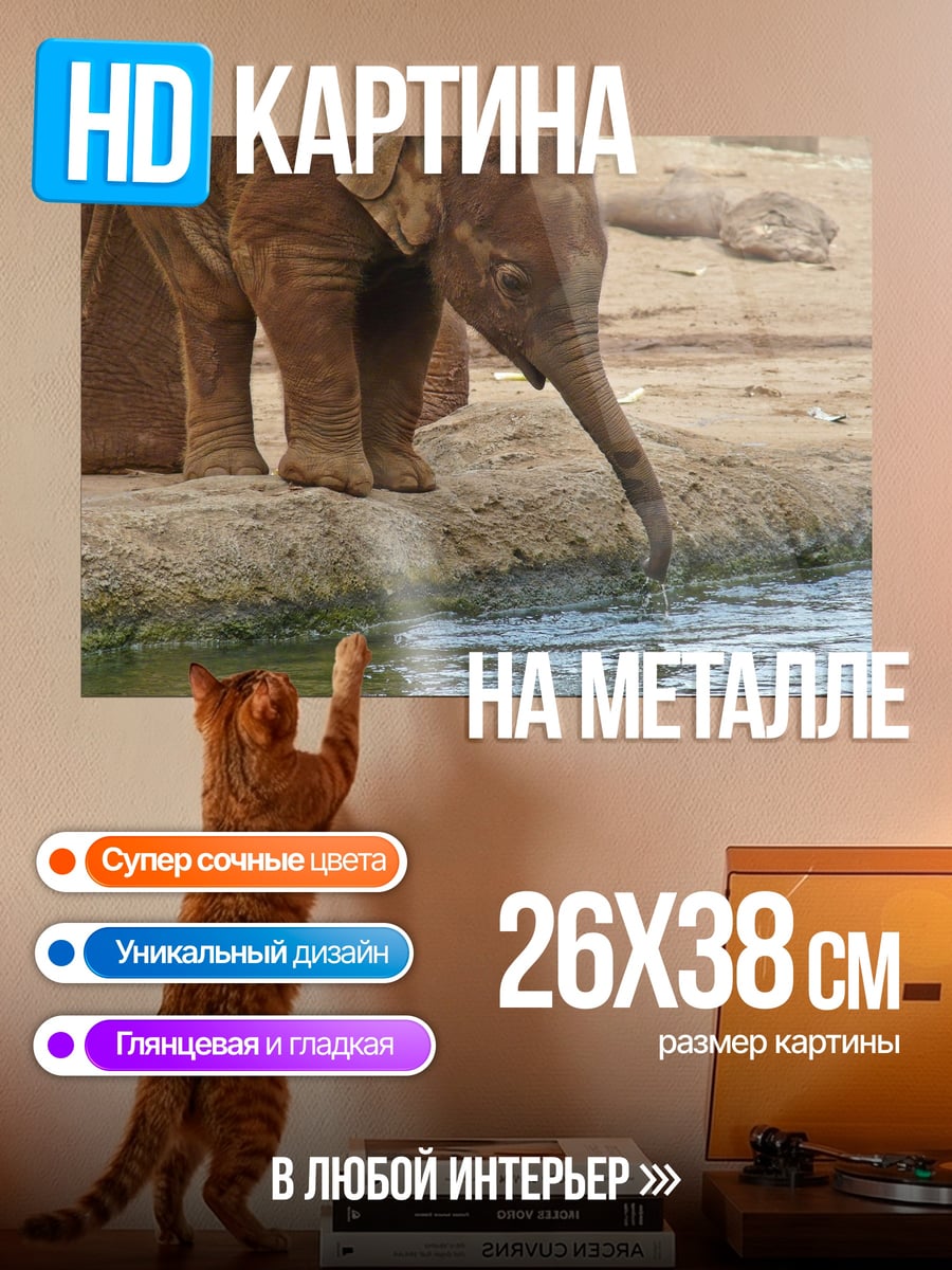 Картина на металле Слон пьет воду