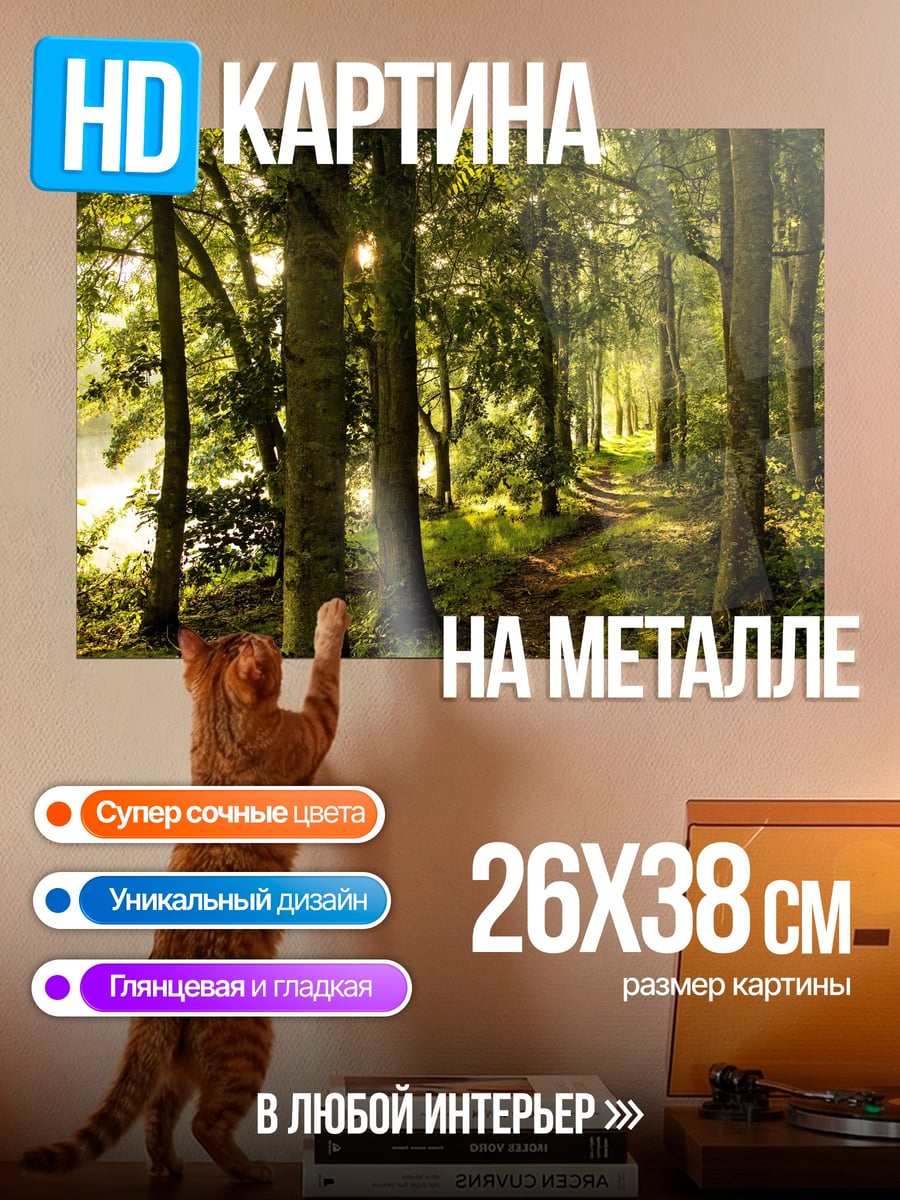 Картина на металле Лесная тропа в солнечном свете