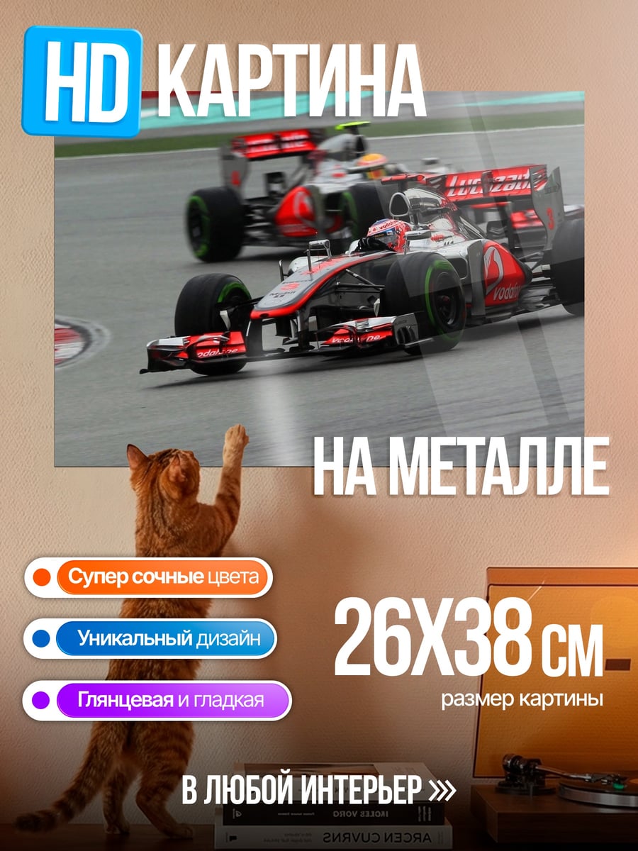 Картина на металле Гонка Формула 1