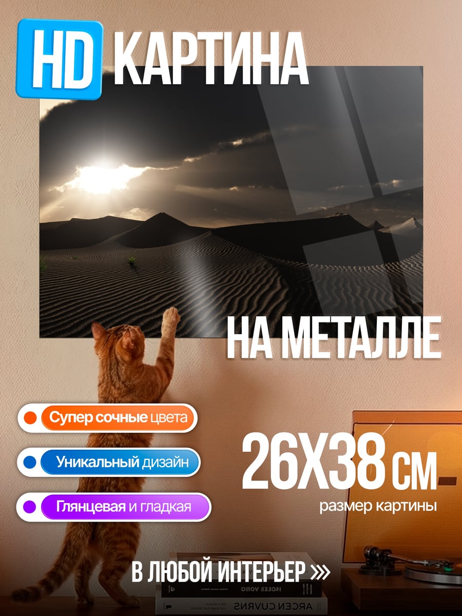 Картина на металле Пустыня на закате