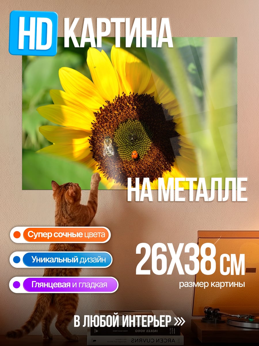 Картина на металле Пчела на подсолнухе