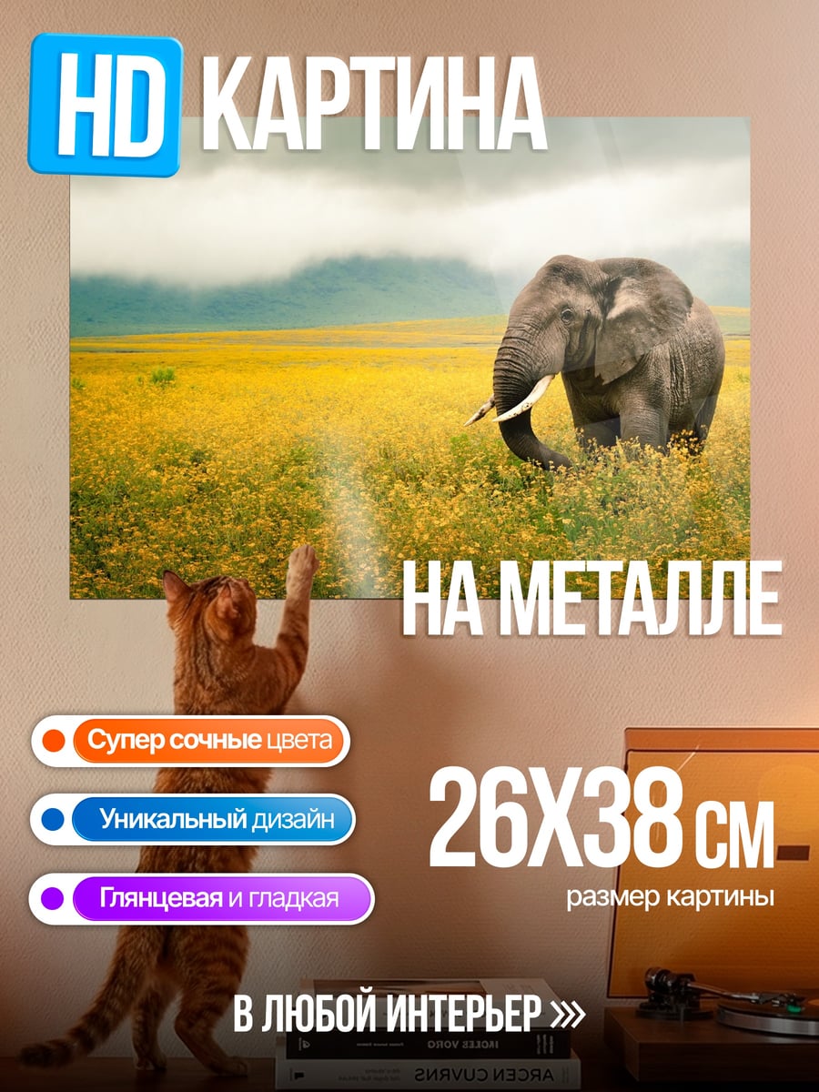 Картина на металле Слон в поле
