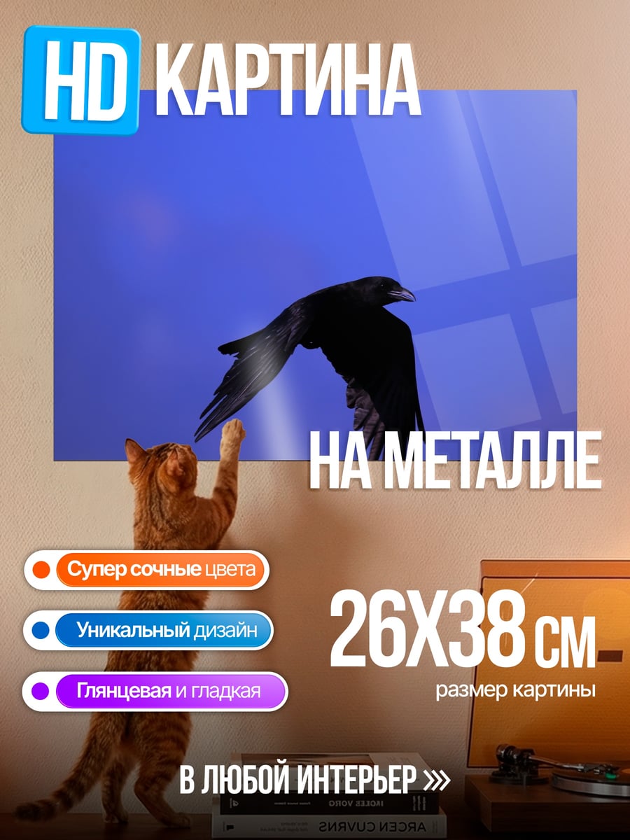 Картина на металле Орел в небе