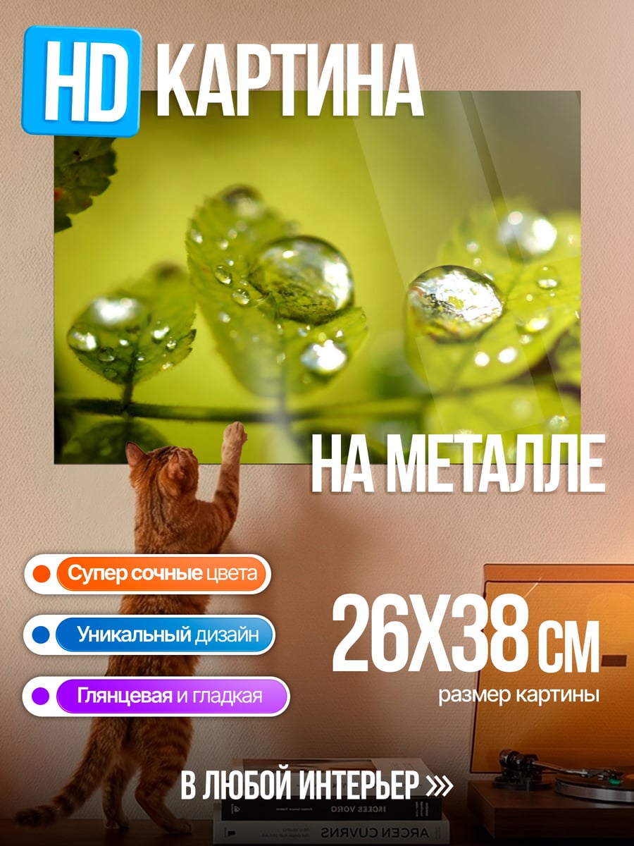 Картина на металле капли на листьях
