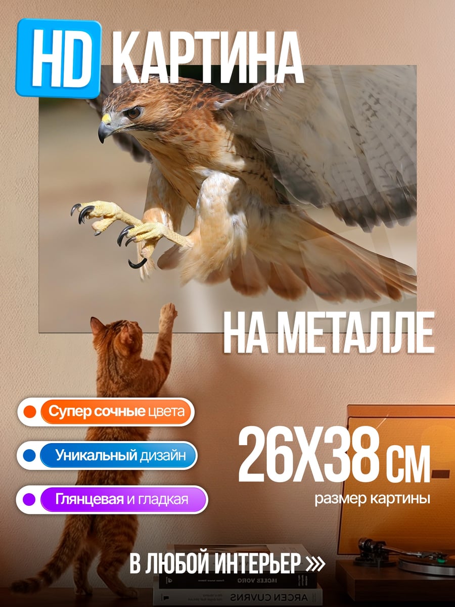 Картина на металле Ястреб в полете